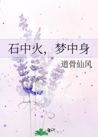 石中火，梦中身