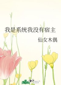 我是系统我没有宿主